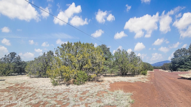 1385 E Birchwood Dr, Williams, AZ 86046