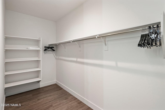 10299 E White Feather Ln, Scottsdale, AZ 85262 - walk in closet featuring wood finished floors