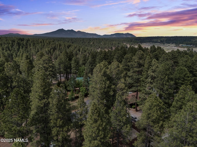 4375 Canyon Loop, Flagstaff, AZ 86005 - view of mountain background featuring a forest