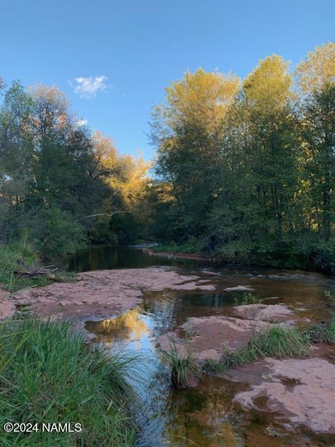 view of local wilderness