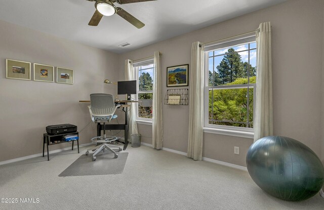 1085 N Conifer Rd, Flagstaff, AZ 86001 - office area featuring ceiling fan, carpet flooring, and baseboards