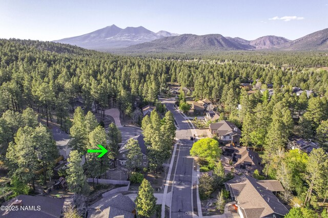 1085 N Conifer Rd, Flagstaff, AZ 86001 - view of property location featuring a heavily wooded area and a mountain backdrop