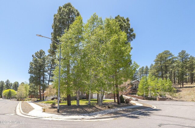 1085 N Conifer Rd, Flagstaff, AZ 86001 - view of asphalt street with sidewalks, curbs, and street lights