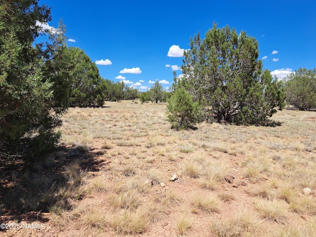 20614014E W Isabelle Ln, Williams, AZ 86046 - photo 5