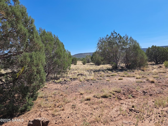 20614014E W Isabelle Ln, Williams, AZ 86046