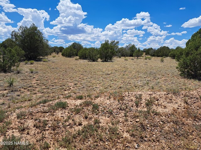 20614014E W Isabelle Ln, Williams, AZ 86046 - photo 9