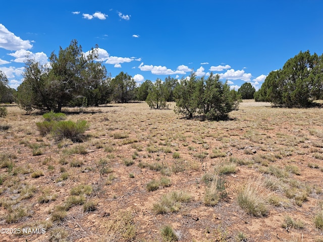 20614014E W Isabelle Ln, Williams, AZ 86046 - photo 8