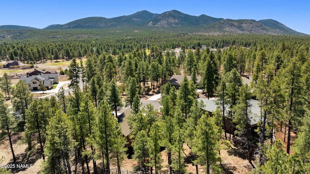 bird's eye view with a view of trees and a mountain view
