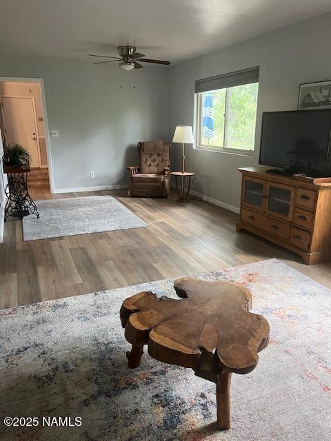 981 E Hilltop Ave, Flagstaff, AZ 86001 - photo 12