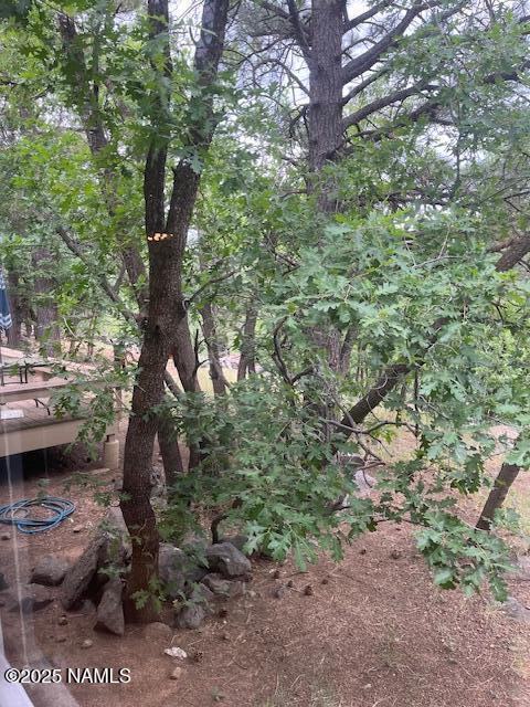981 E Hilltop Ave, Flagstaff, AZ 86001 - photo 40