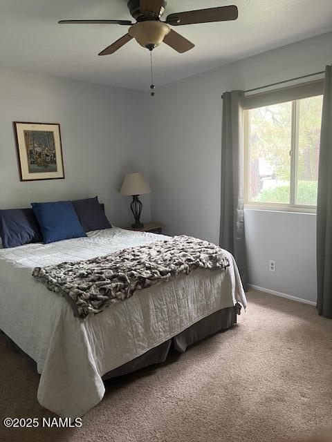 981 E Hilltop Ave, Flagstaff, AZ 86001 - photo 32