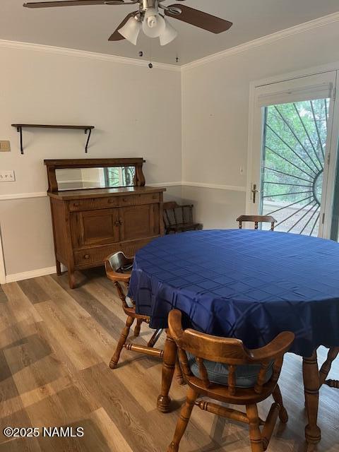 981 E Hilltop Ave, Flagstaff, AZ 86001 - photo 23
