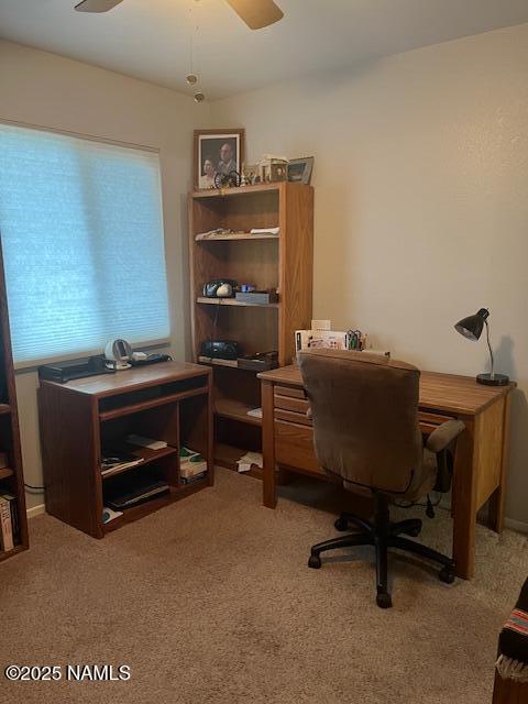 981 E Hilltop Ave, Flagstaff, AZ 86001 - photo 37