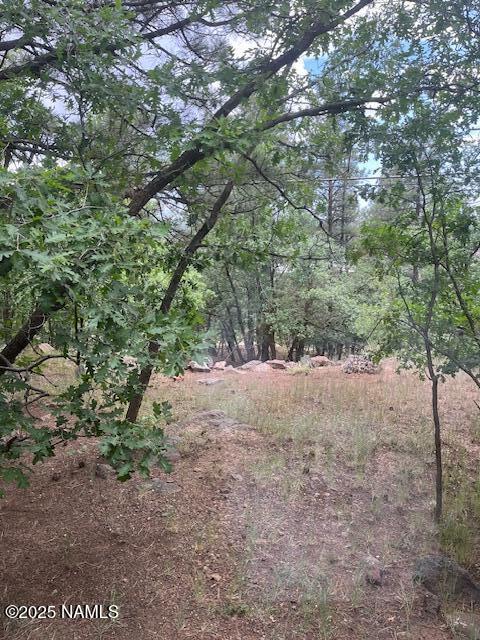 981 E Hilltop Ave, Flagstaff, AZ 86001 - photo 41