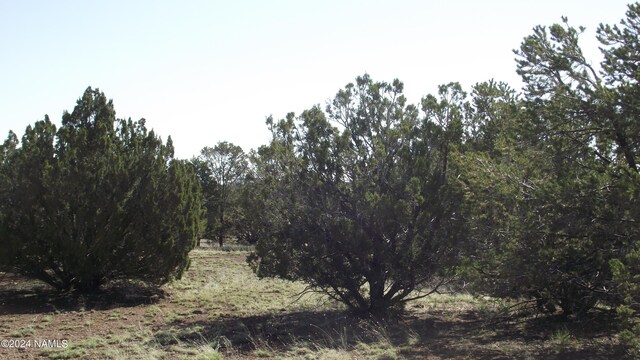 1303 E Antler Ln Unit 546, Williams, AZ 86046 - photo 2