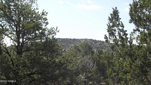 1303 E Antler Ln Unit 546, Williams, AZ 86046 - photo 3
