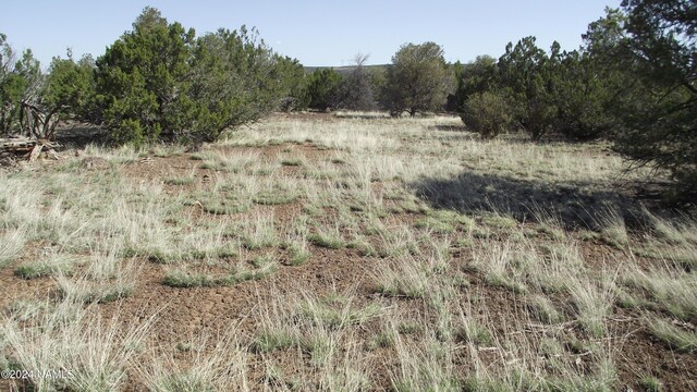 1303 E Antler Ln Unit 546, Williams, AZ 86046 - photo 4