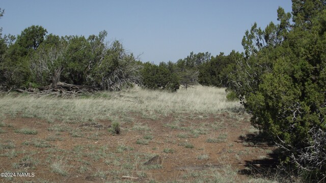 1303 E Antler Ln Unit 546, Williams, AZ 86046 - photo 5