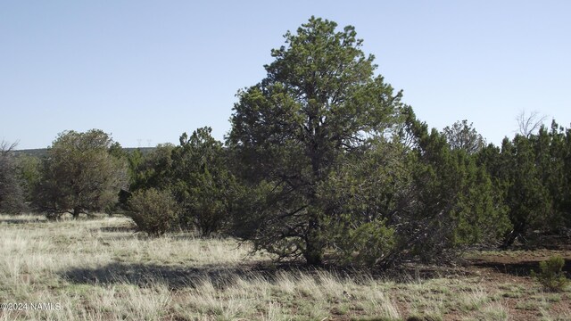 1303 E Antler Ln Unit 546, Williams, AZ 86046 - photo 1