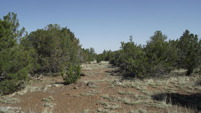 1303 E Antler Ln Unit 546, Williams, AZ 86046 - photo 6