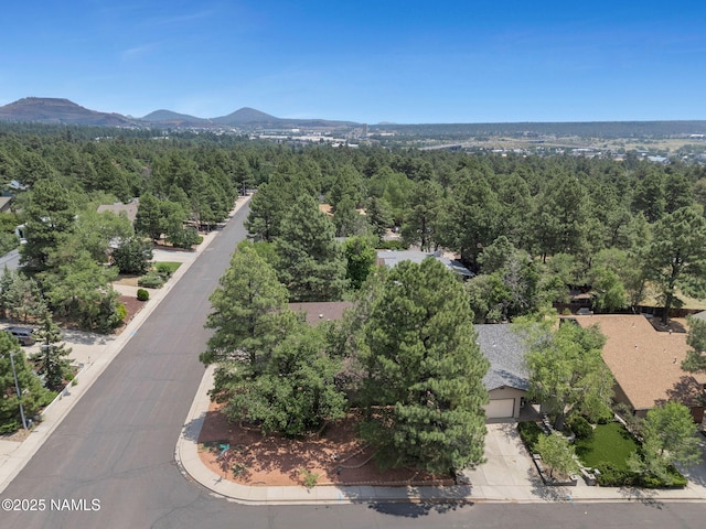 3031 E Matterhorn Dr, Flagstaff, AZ 86004 - photo 44