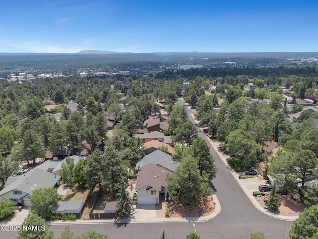 3031 E Matterhorn Dr, Flagstaff, AZ 86004 - photo 43