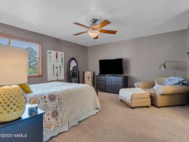 3031 E Matterhorn Dr, Flagstaff, AZ 86004 - photo 23