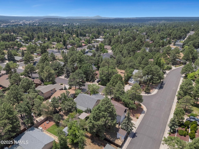 3031 E Matterhorn Dr, Flagstaff, AZ 86004 - photo 45
