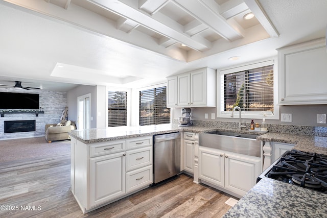 5495 E Crisp Hill Rd, Flagstaff, AZ 86004 - kitchen featuring a healthy amount of sunlight, a peninsula, a fireplace, a sink, and dishwasher