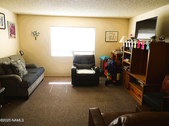 living room featuring a textured ceiling