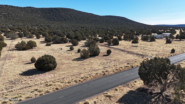 48955 N Anvil Rock Rd, Seligman AZ, 86337 land for sale