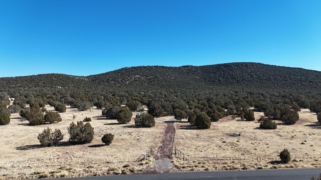 Listing photo 2 for 48955 N Anvil Rock Rd, Seligman AZ 86337