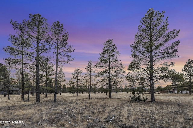 3353 N Cazadero Trl, Flagstaff AZ, 86001 land for sale