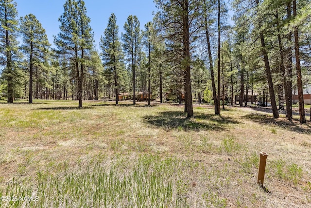 340 Barnwood Trl, Munds Park, AZ 86017 - photo 9