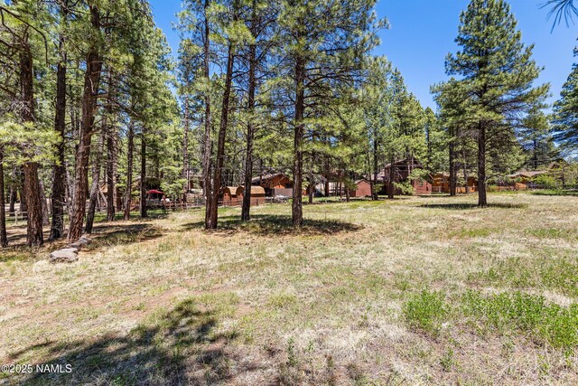 340 Barnwood Trl, Munds Park, AZ 86017 - photo 10