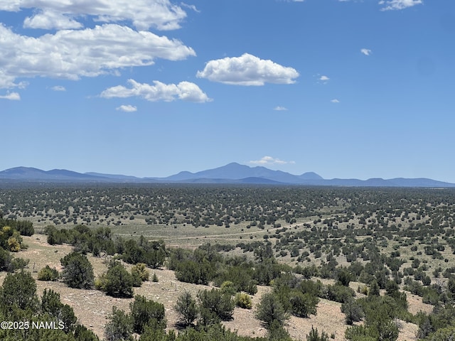 8834 Northstar Rd, Williams, AZ 86046