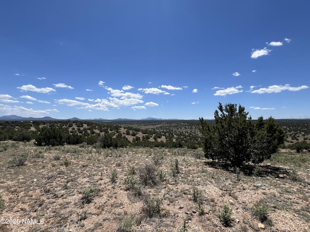 8834 Northstar Rd, Williams, AZ 86046