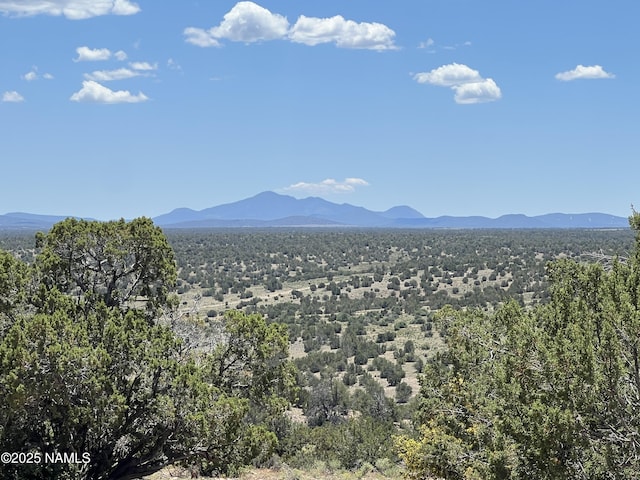 8834 Northstar Rd, Williams, AZ 86046