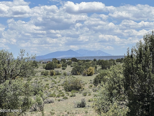 8834 Northstar Rd, Williams, AZ 86046