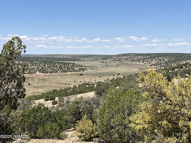 8834 Northstar Rd, Williams, AZ 86046