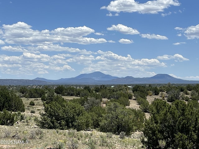 8834 Northstar Rd, Williams, AZ 86046