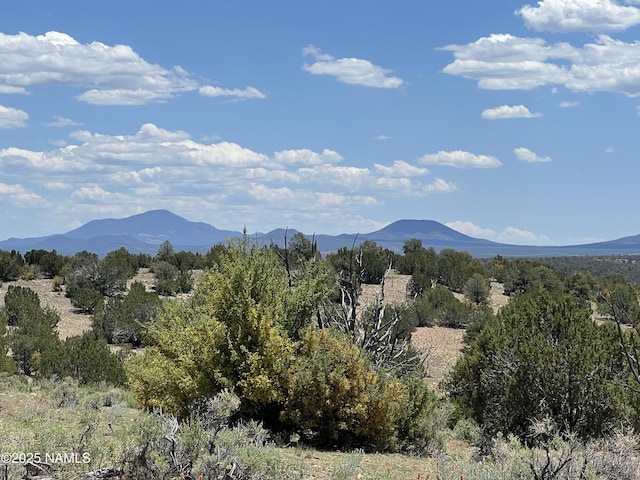 8834 Northstar Rd, Williams, AZ 86046