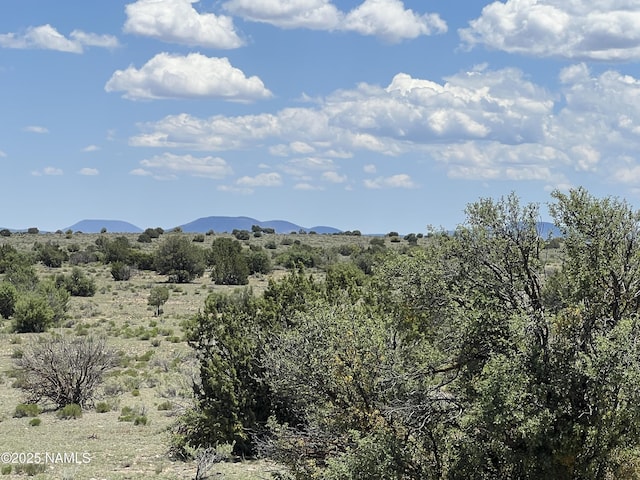 8834 Northstar Rd, Williams, AZ 86046