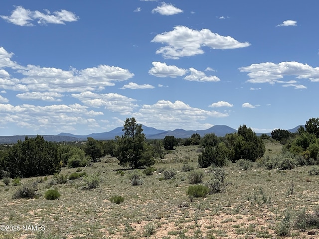 8834 Northstar Rd, Williams, AZ 86046