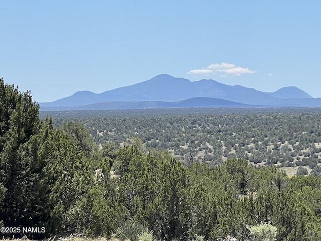 8834 Northstar Rd, Williams, AZ 86046
