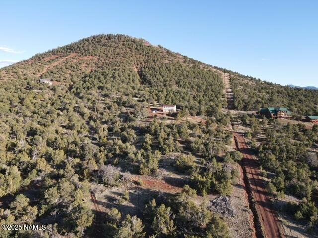 1026 E San Marcos Rd, Williams, AZ 86046 - view of mountain backdrop