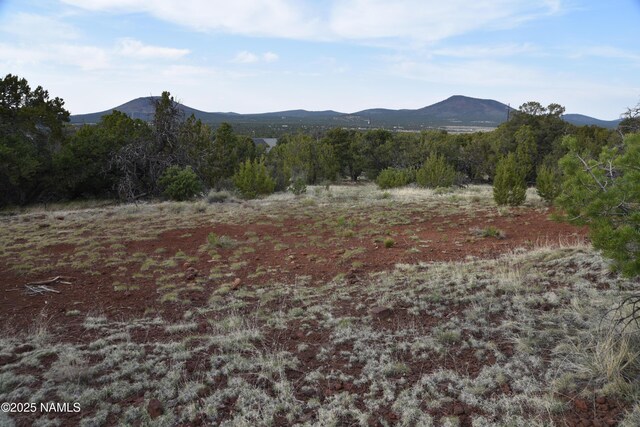 1026 E San Marcos Rd, Williams, AZ 86046 - view of mountain backdrop with a heavily wooded area
