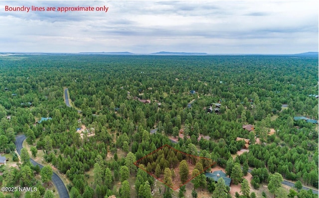 1598 Pine Canyon Dr, Happy Jack AZ, 86024 land for sale