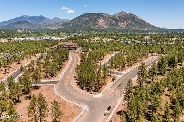 392 N Valerian Ln Lot 40, Flagstaff, AZ 86004 - photo 4