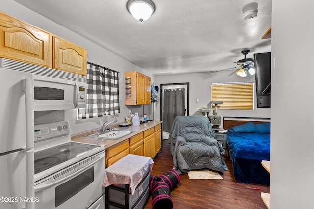 1920 W University Heights Dr N, Flagstaff, AZ 86005 - photo 26